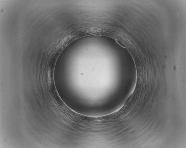 X0000070190700200606161551