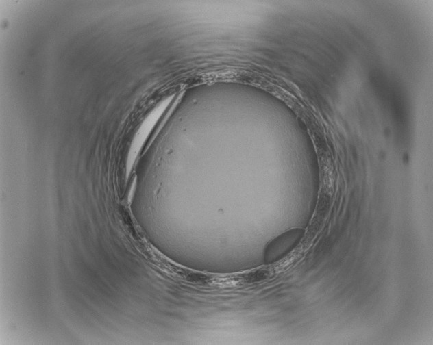 X0000070190701200606161551