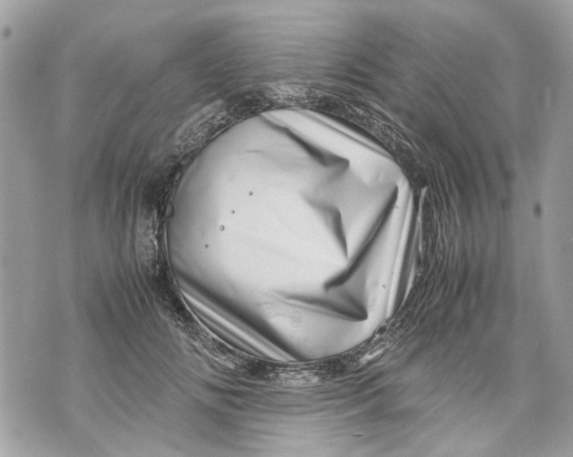 X0000070190702200606161551