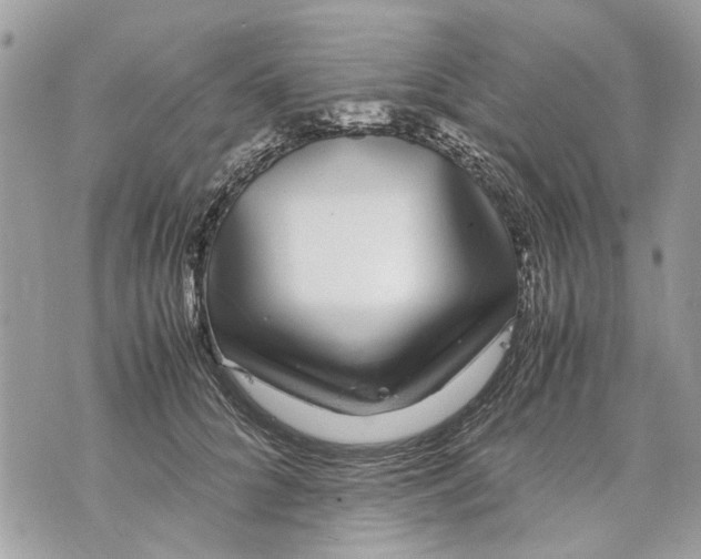 X0000070190704200606161551