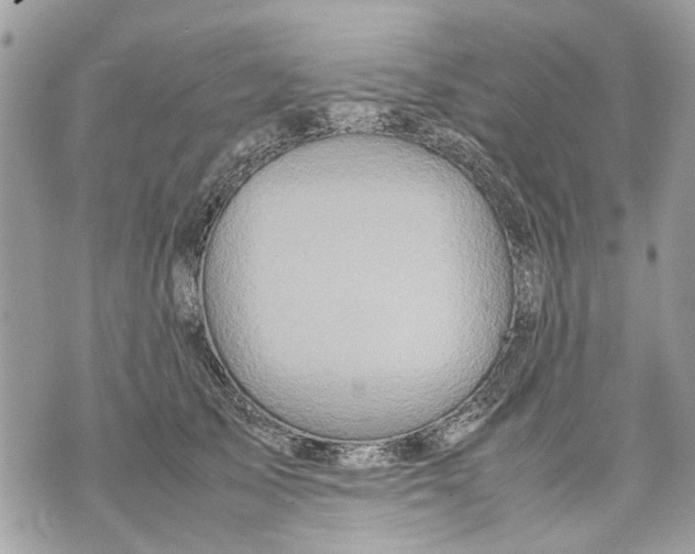 X0000070190705200606161551