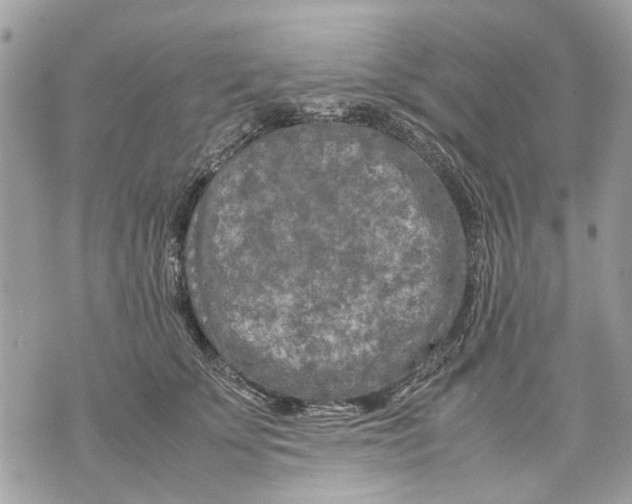 X0000070190707200606161551