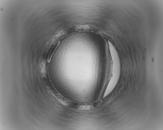 X0000070190708200606161551