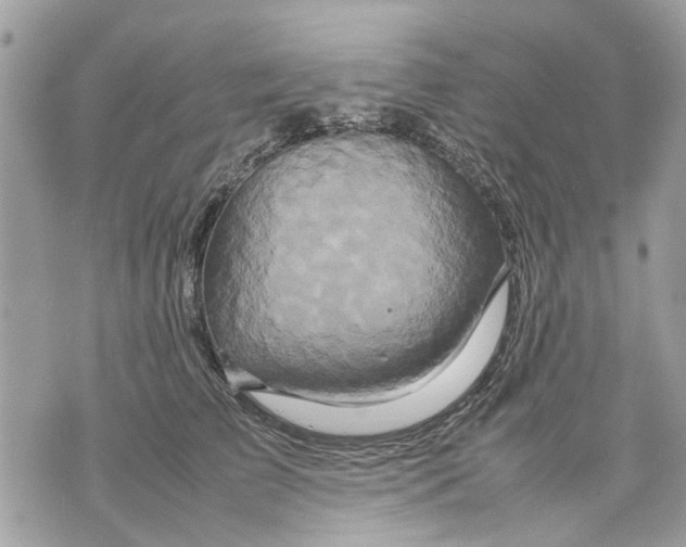 X0000070190709200606161551