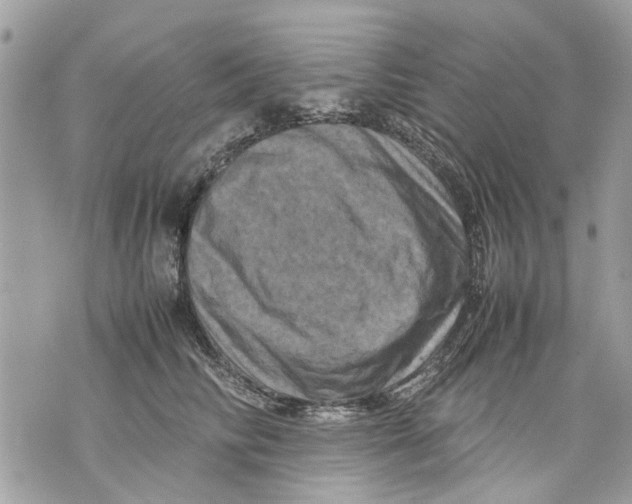 X0000070190710200606161551