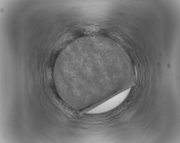 X0000070190711200606161551