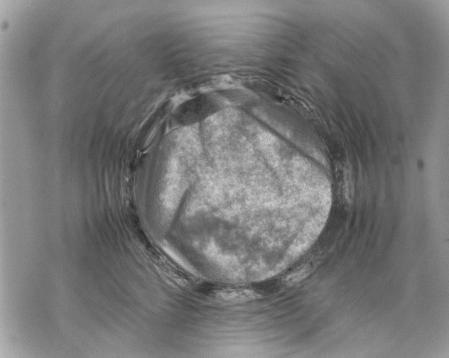 X0000070190712200606161551