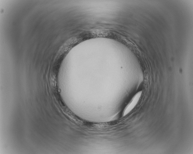 X0000070190713200606161551