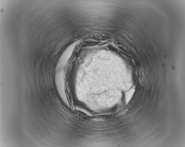 X0000070190714200606161551