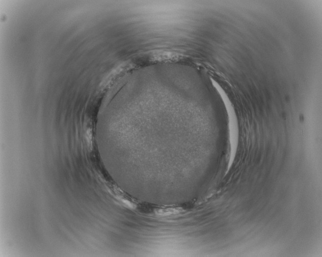 X0000070190716200606161551