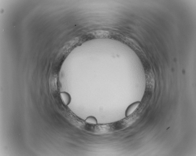 X0000070190717200606161551