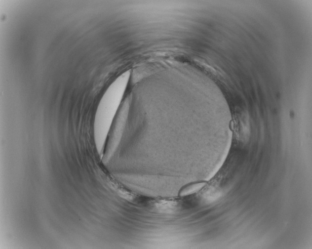 X0000070190718200606161551