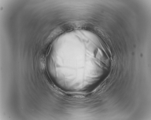 X0000070190719200606161551