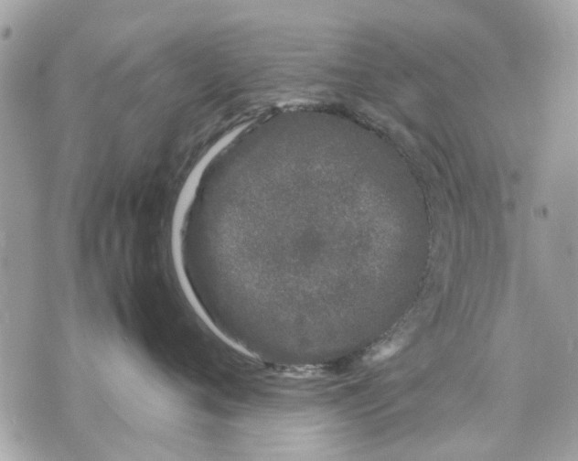 X0000070190720200606161551