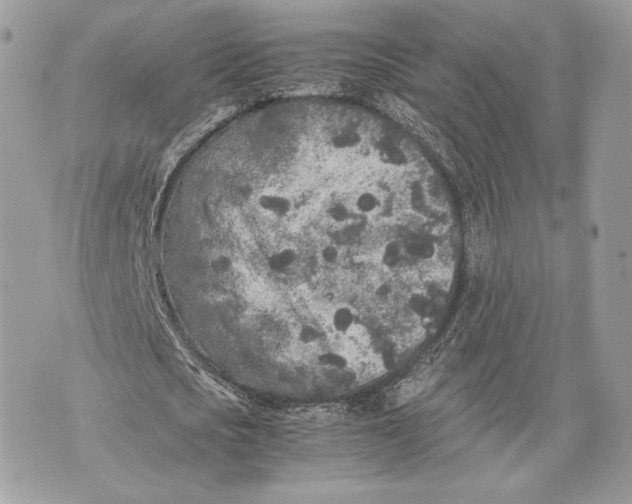 X0000070190721200606161550