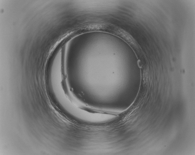 X0000070190722200606161550