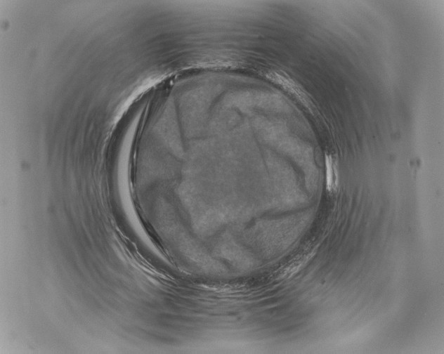 X0000070190723200606161550