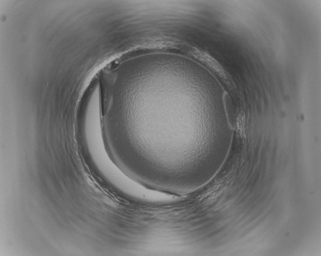 X0000070190724200606161550