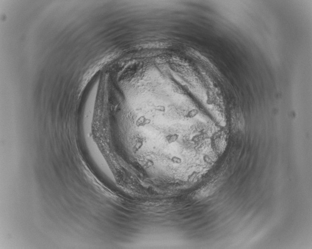 X0000070190725200606161550