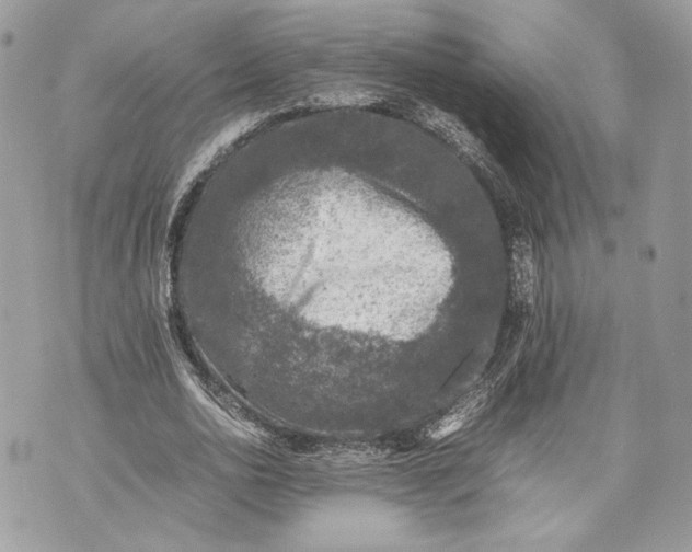 X0000070190726200606161550