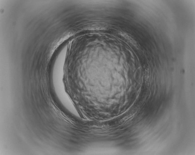 X0000070190727200606161550