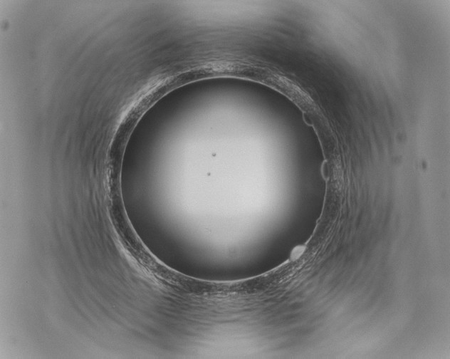 X0000070190730200606161550