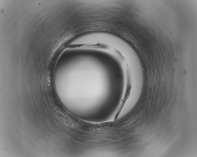 X0000070190731200606161550