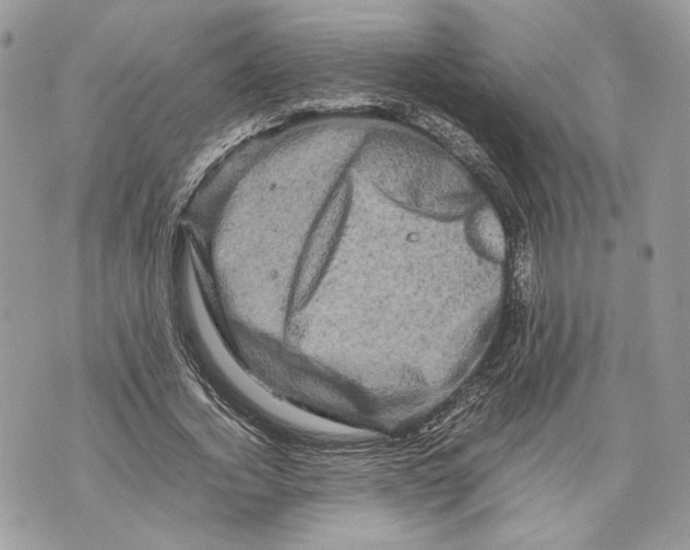 X0000070190732200606161550