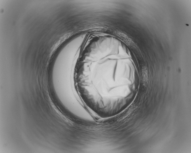 X0000070190734200606161550