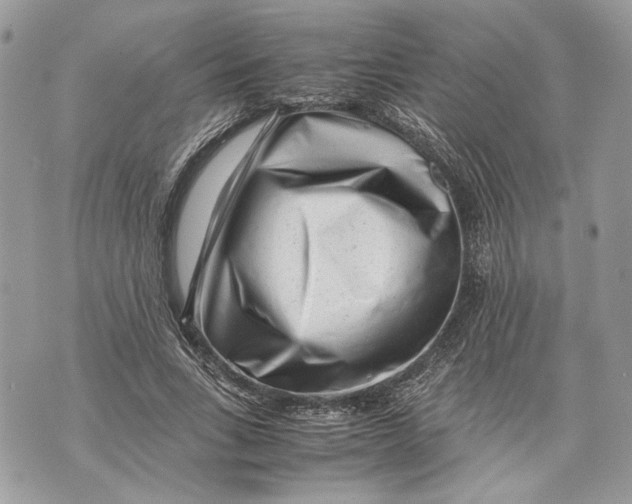 X0000070190735200606161550