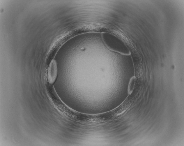 X0000070190736200606161550