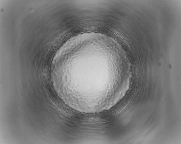 X0000070190737200606161550