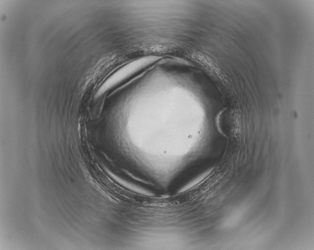 X0000070190738200606161550