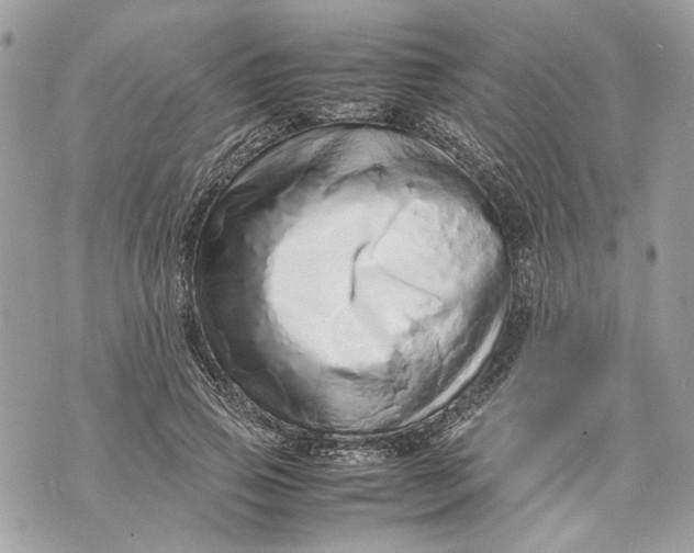 X0000070190741200606161550