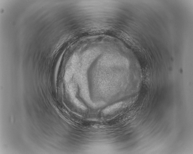 X0000070190742200606161550