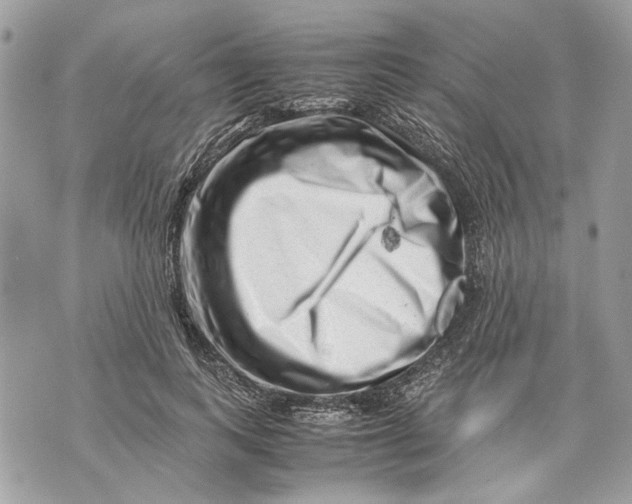 X0000070190743200606161550