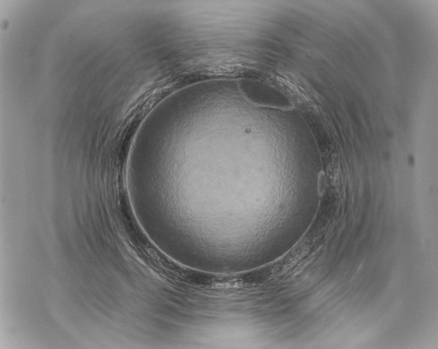 X0000070190744200606161550