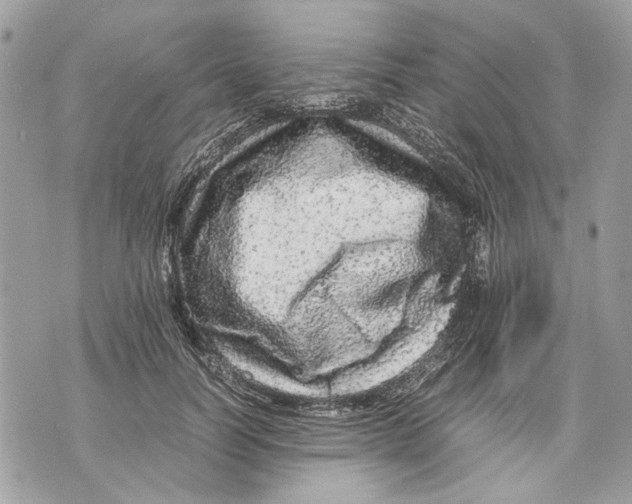 X0000070190746200606161550