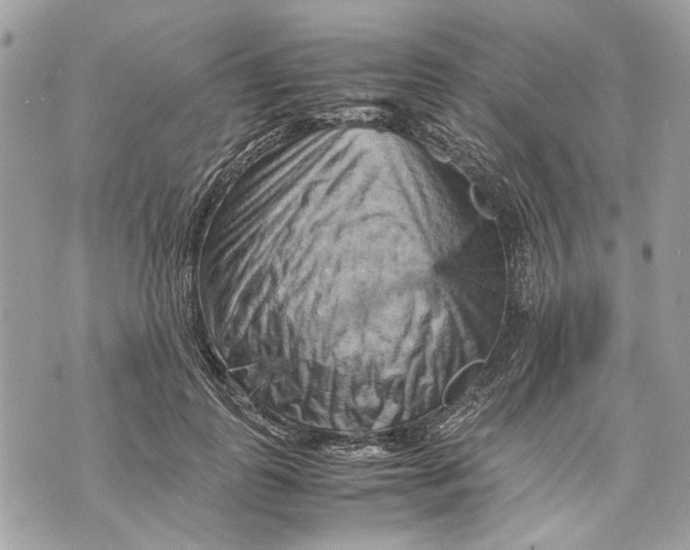 X0000070190747200606161550