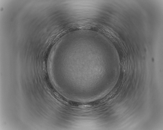 X0000070190748200606161550