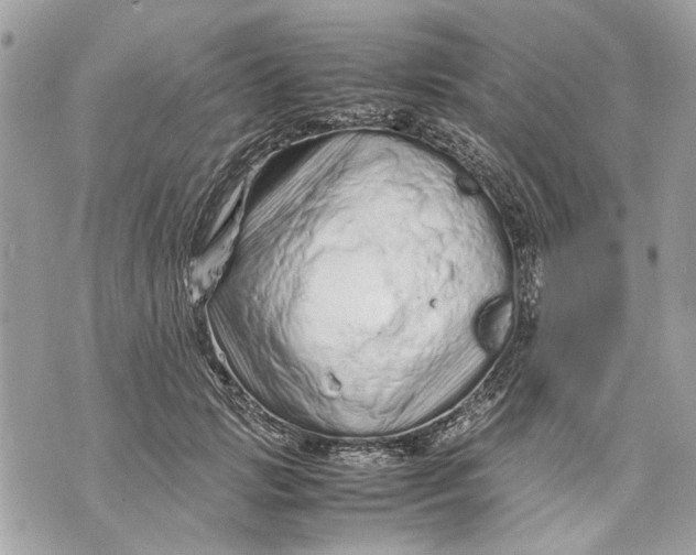 X0000070190749200606161550