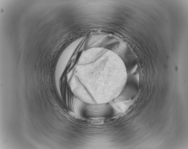 X0000070190750200606161550