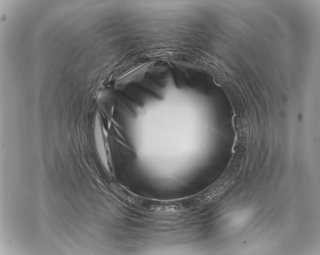 X0000070190751200606161550