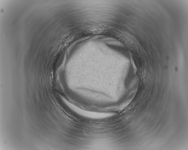 X0000070190752200606161550