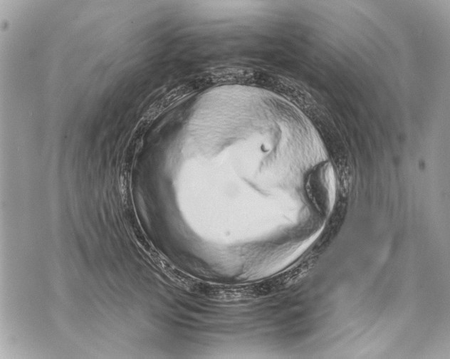 X0000070190753200606161550