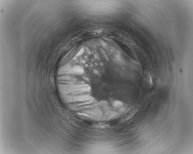 X0000070190754200606161550