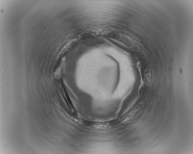 X0000070190756200606161551