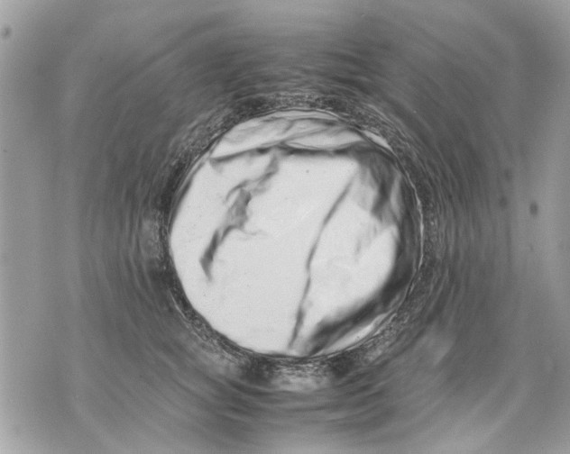 X0000070190757200606161551