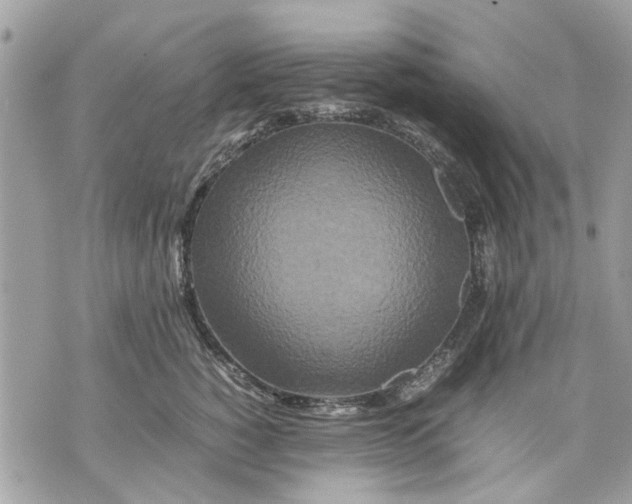 X0000070190760200606161551