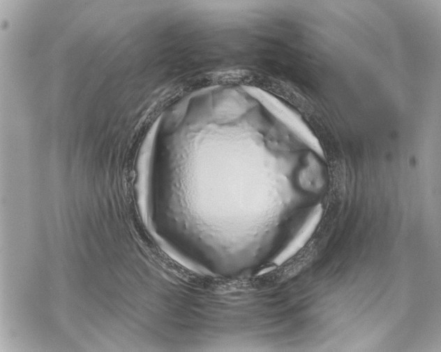 X0000070190761200606161551